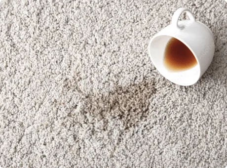 Stain-Resistant-Carpet-img Stain Resistant Carpet | The Floor Store