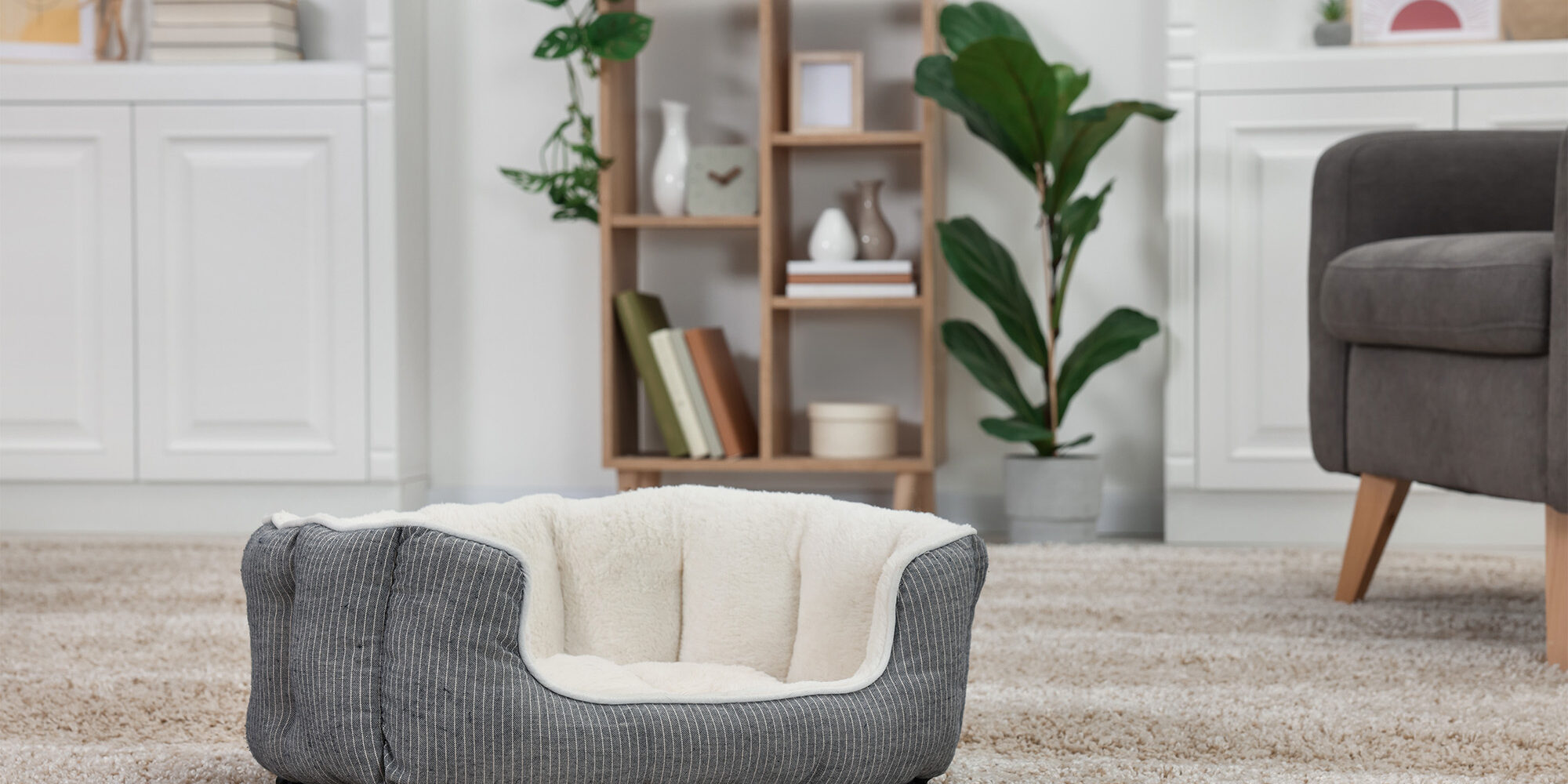 Carpet Texture Types | The Floor Store | Bay Area, CA
