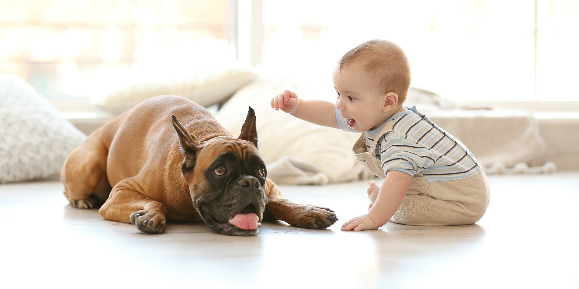 baby and dog on tile floor